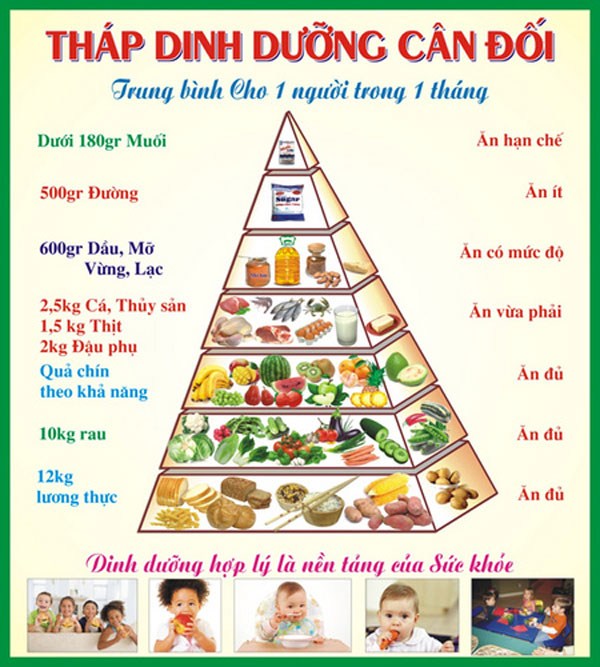 Tháp dinh dưỡng cập nhật năm 2026 với những thay đổi về protein, chất béo và thực phẩm nguyên chất