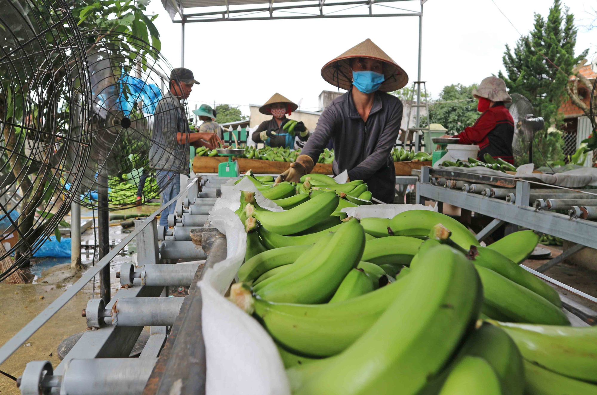 Bức tranh xuất nhập khẩu