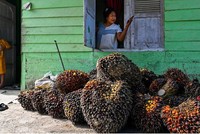 Hội nghị quốc tế về năng lượng