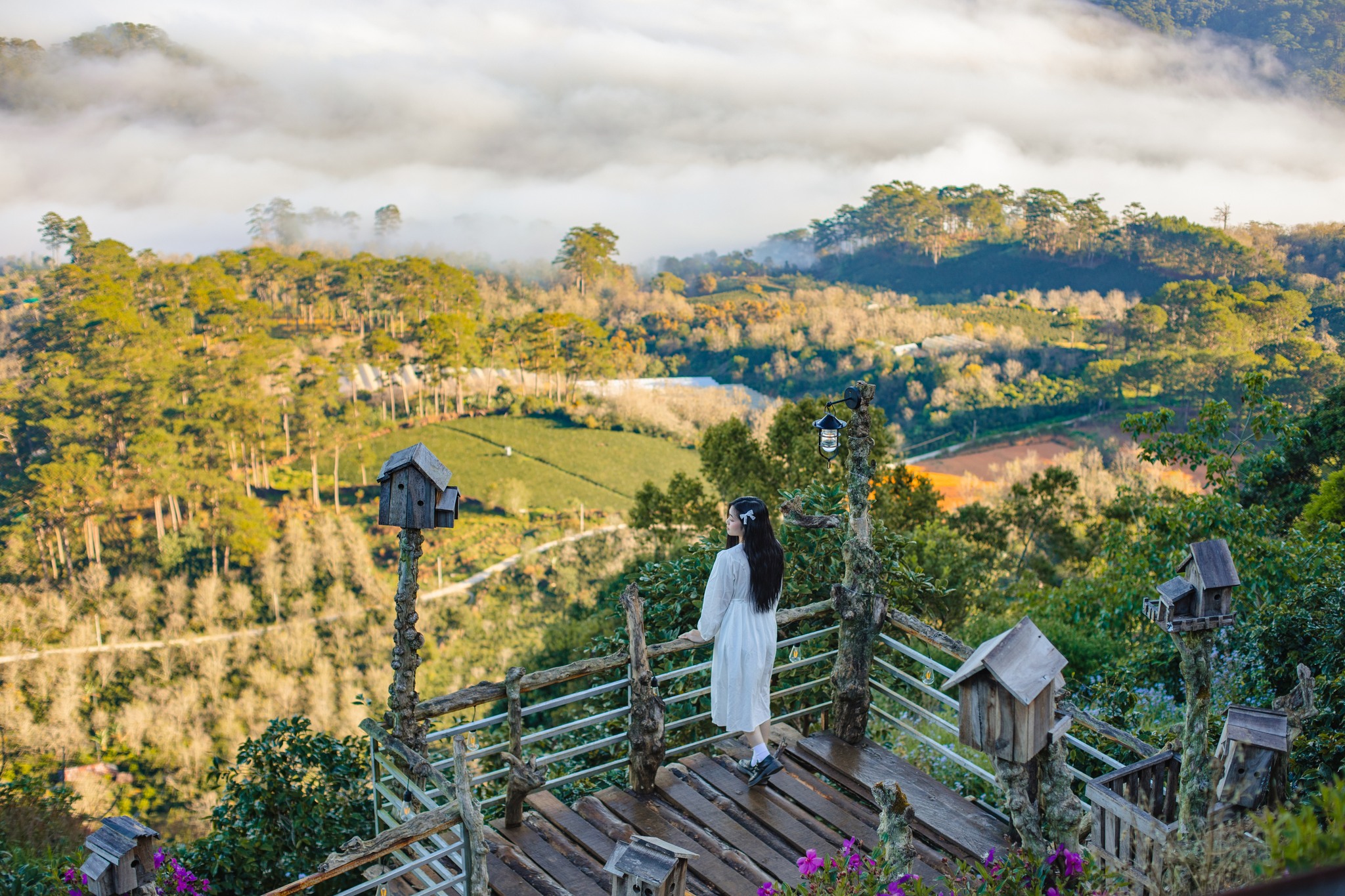 Bình minh mây trên cao nguyên