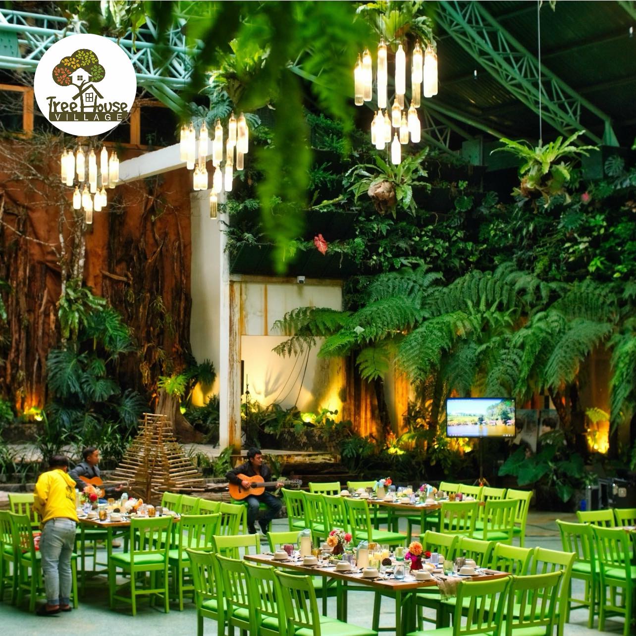Trải nghiệm ngủ trên cây tại Treehouse Village