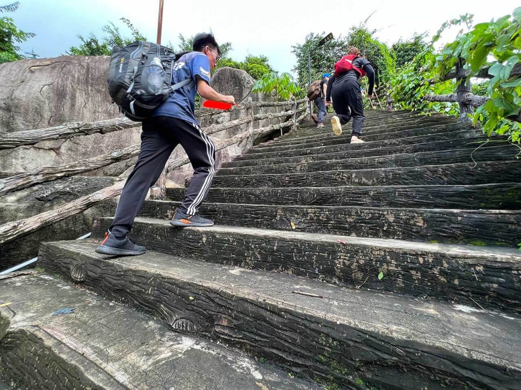 Trekking lên đỉnh núi