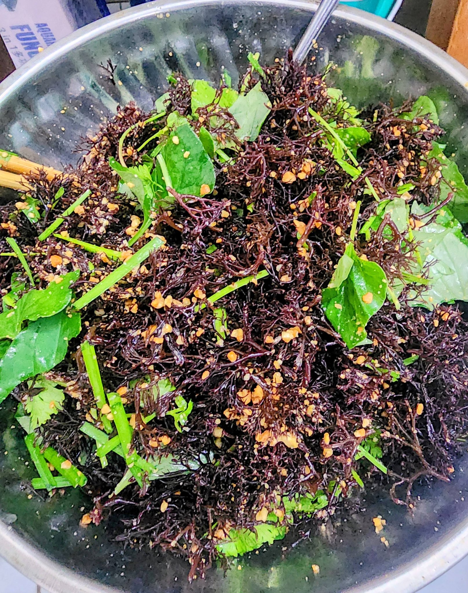 Rau cúm là loại rong biển sinh sống tự nhiên trong vùng nước nông