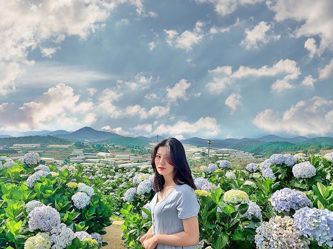 Các điểm săn mây đẹp