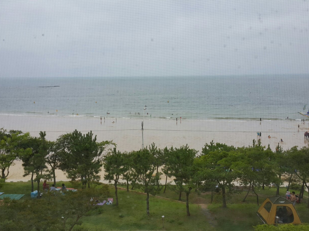 Khung cảnh lễ hội bùn Boryeong náo nhiệt