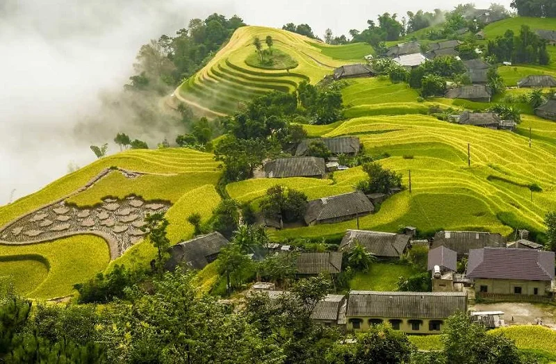Ruộng bậc thang Hoàng Su Phì vào mùa đẹp nhất