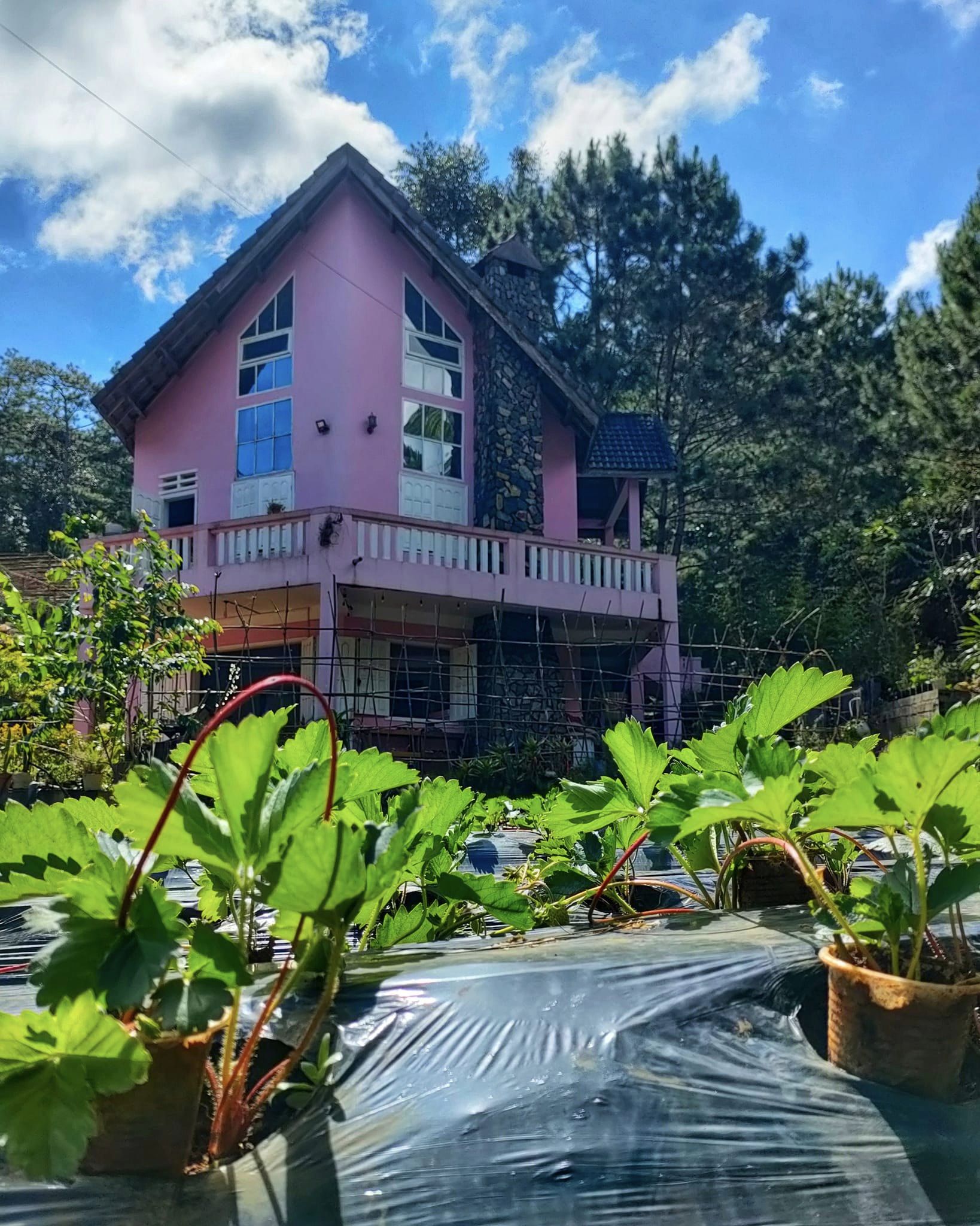 Shabbat Homestay nhìn ra hồ Đăk Ke