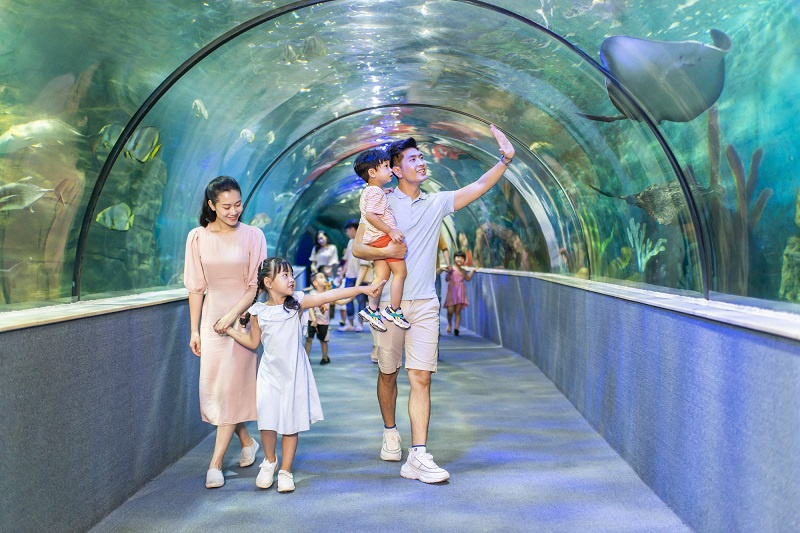 Thủy cung Vinpearl Aquarium Times City là điểm đến kết hợp giáo dục và giải trí