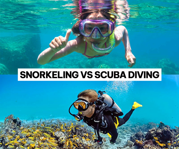 Snorkeling vs scuba diving: Which Is Right for Me?