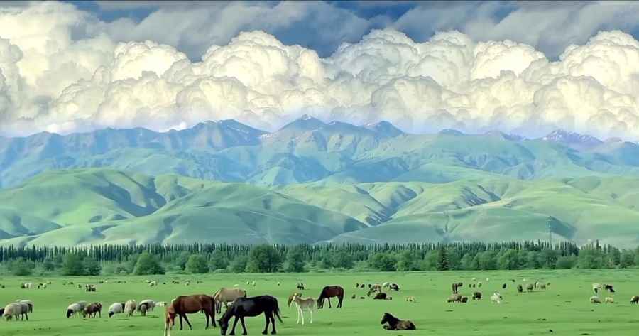 Cảnh đẹp miền Bắc Việt Nam