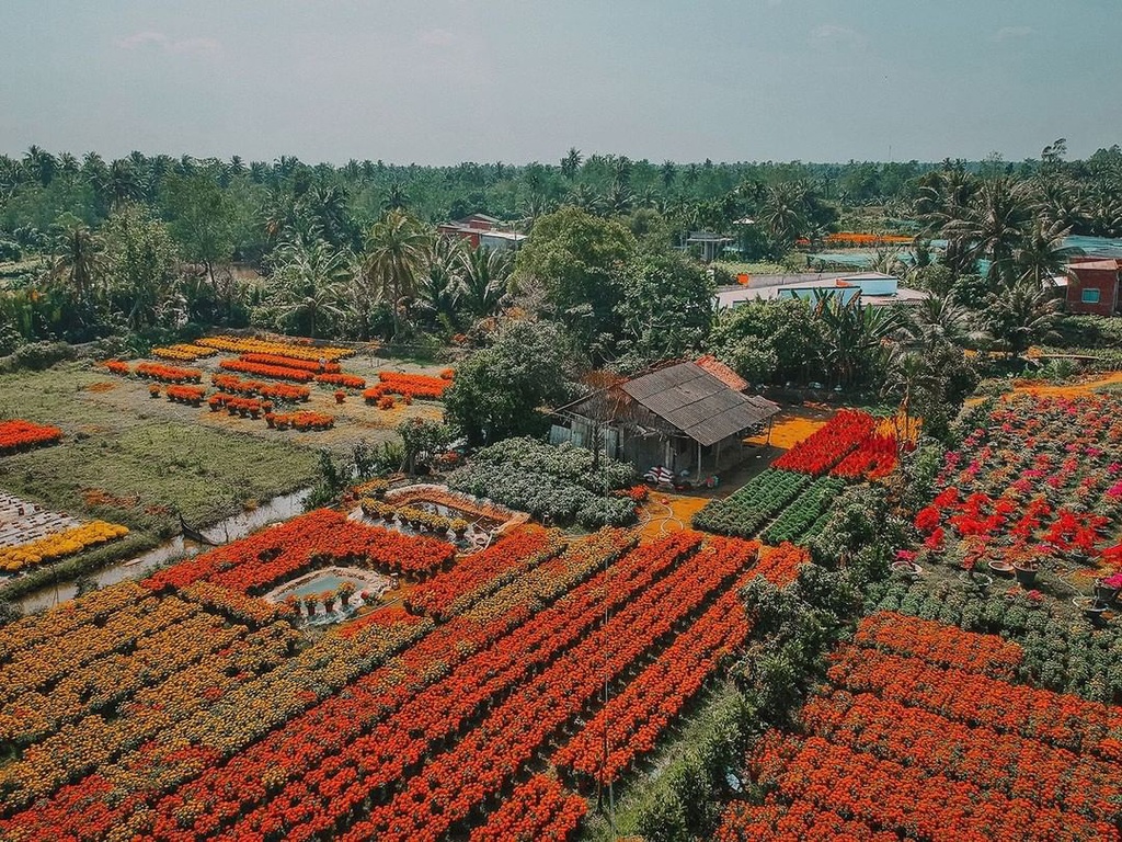 Vườn trái cây Bến Tre