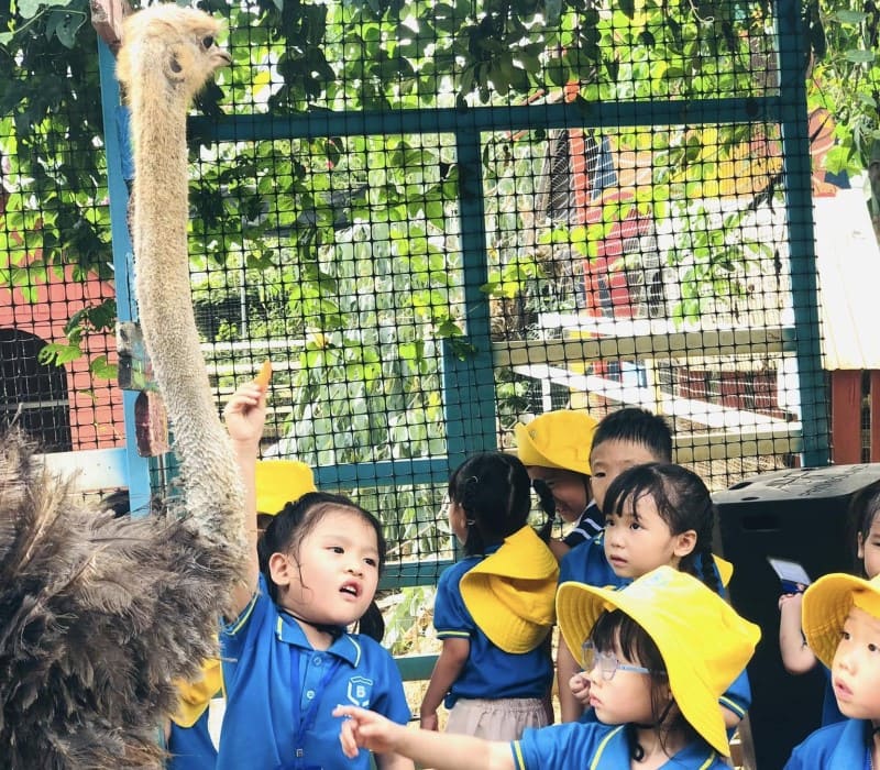 Top những khu vui chơi trẻ em ở Đà Nẵng an toàn hấp dẫn