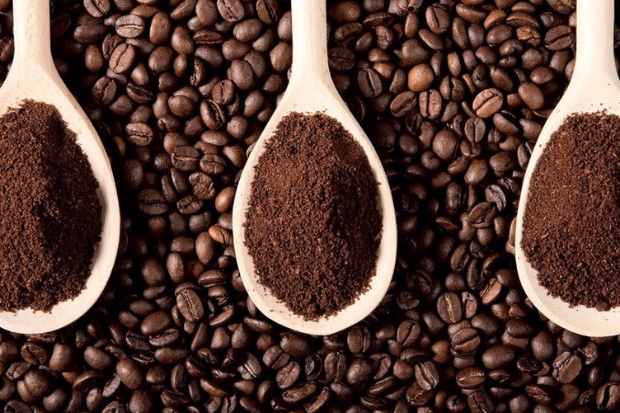 Cà phê arabica Đà Lạt — tinh hoa của vùng cao nguyên Lâm Viên