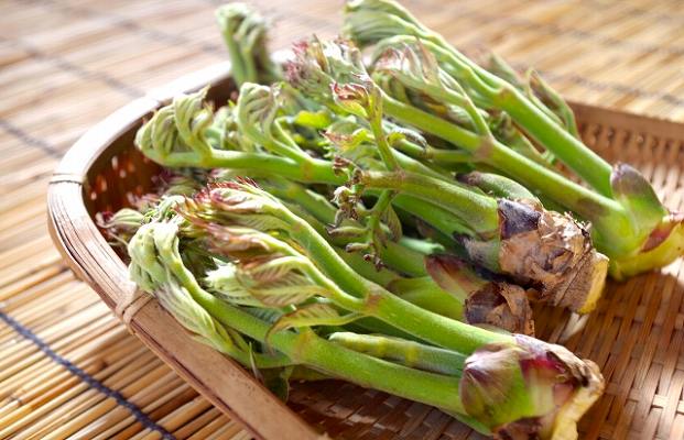 Đà Lạt Củi Homestay - Nơi bình yên giữa rừng thông