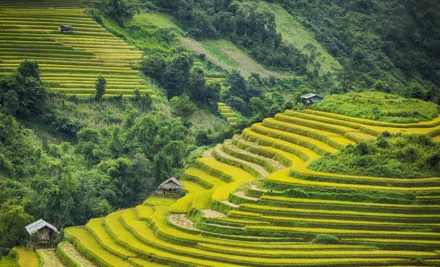 Ruộng bậc thang Sa Pa