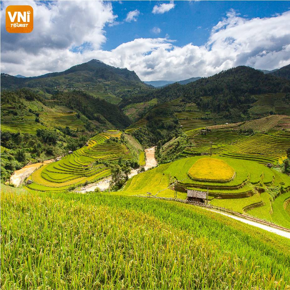 Bản làng và ruộng bậc thang