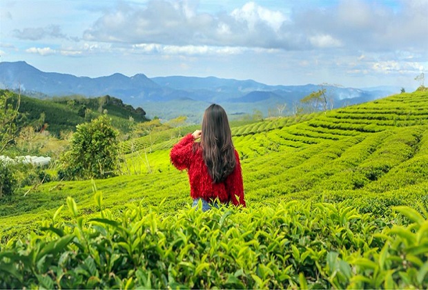 Các địa điểm du lịch miền Bắc mùa hè