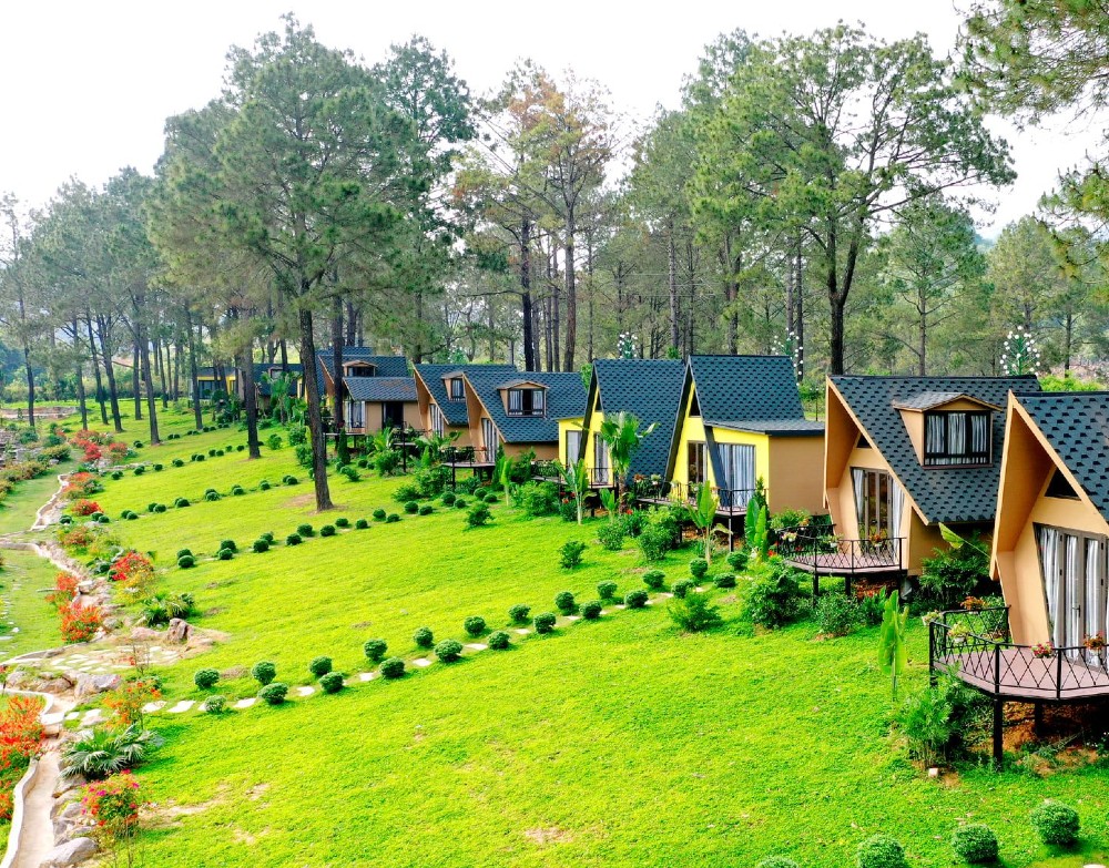 Mặc trang phục mang phong cách du mục tại rừng thông Bản Áng