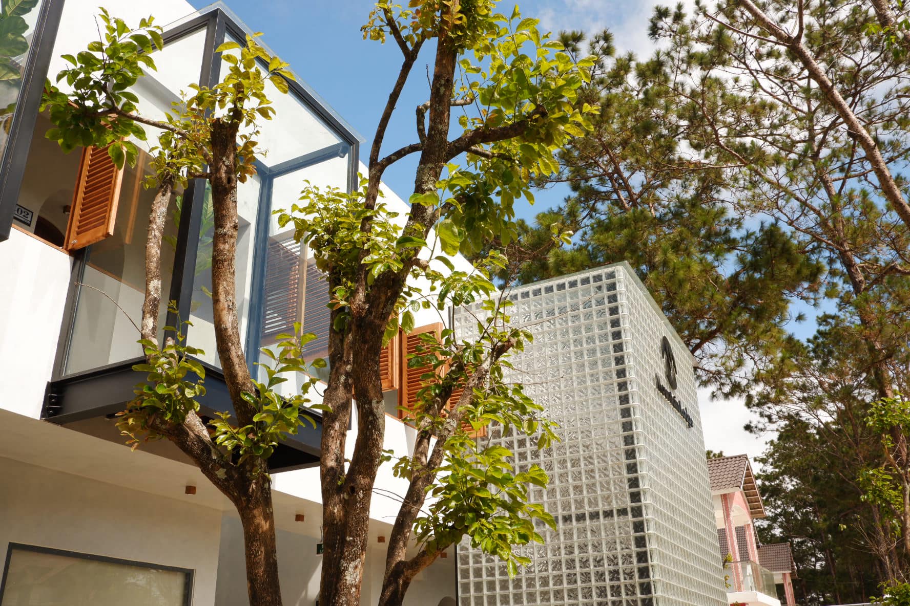 Cấu trúc gỗ vững chãi của Mountain Lodge