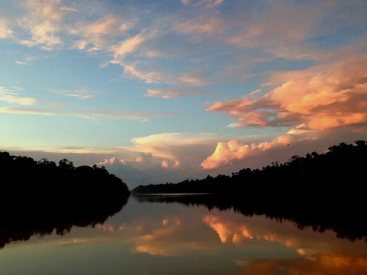 Du lịch trên sông Kinabatangan trong rừng mưa nhiệt đới Borneo