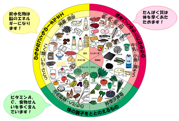 Momondo app search flight
