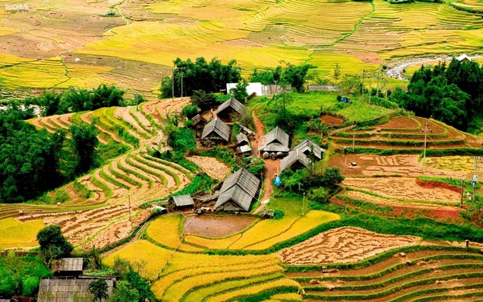 Sapa mùa thu