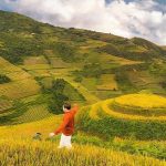 Cảnh sắc miền Bắc theo mùa