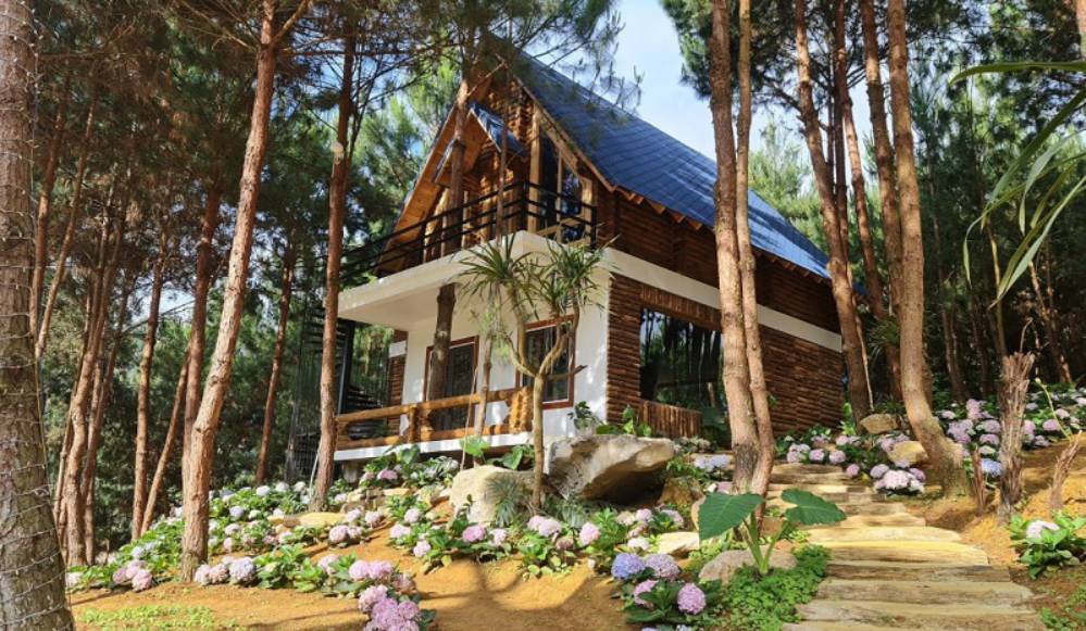 Cảnh homestay Mộc Châu giữa đồi chè và núi rừng