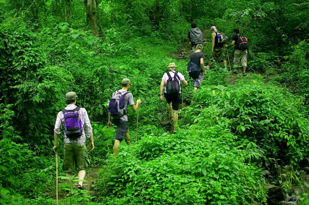 Trekking xuyên rừng nhiệt đới tại đảo ngọc Phú Quốc