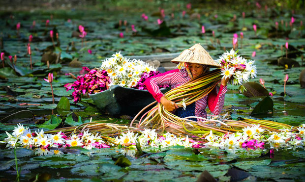 Miền Tây mùa nước nổi