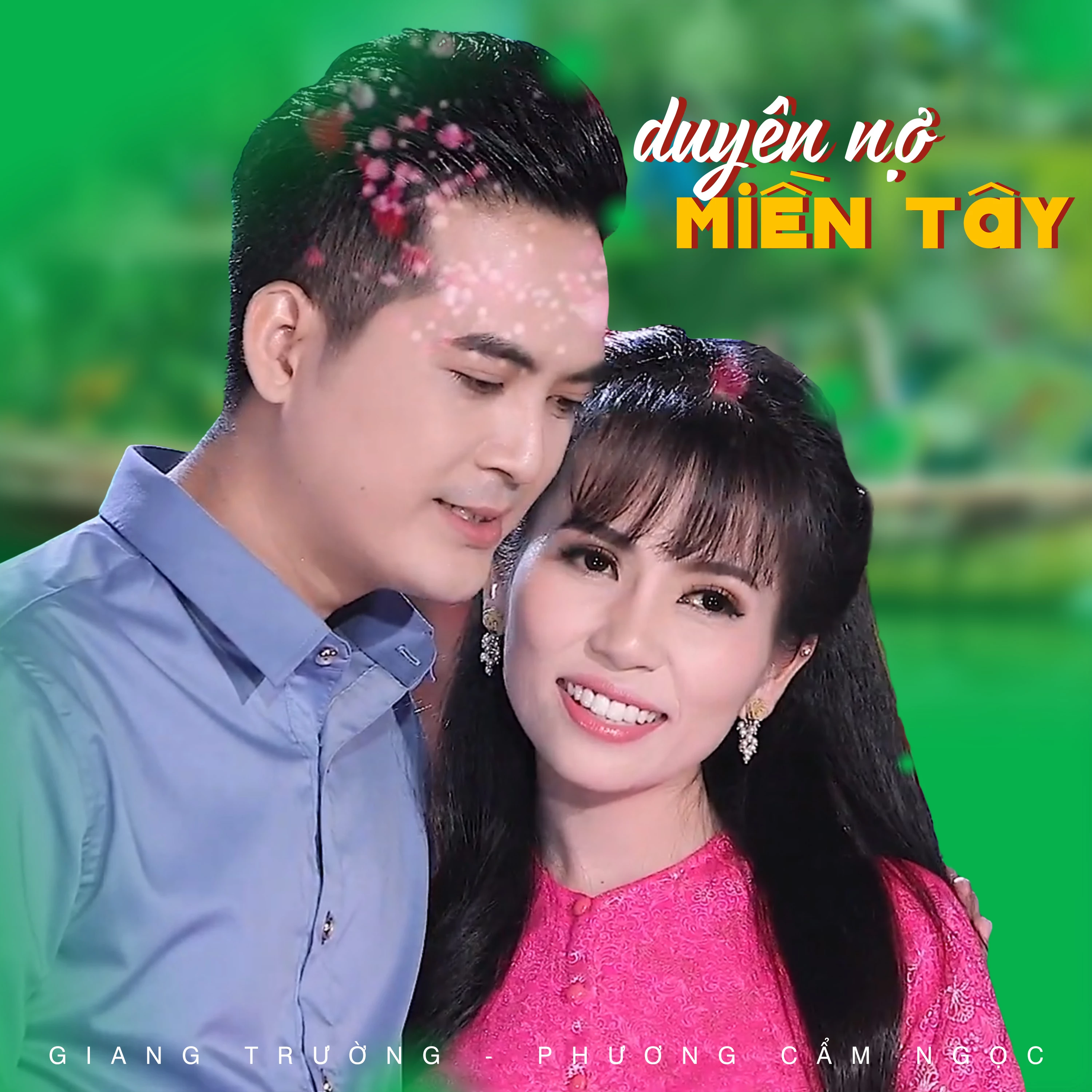 Đồi chè Tam Đảo mùa thu