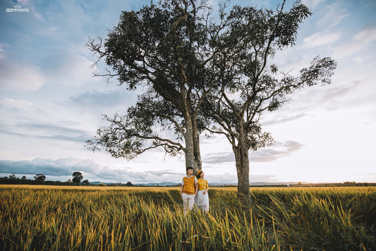Khung cảnh Đà Lạt buổi sáng