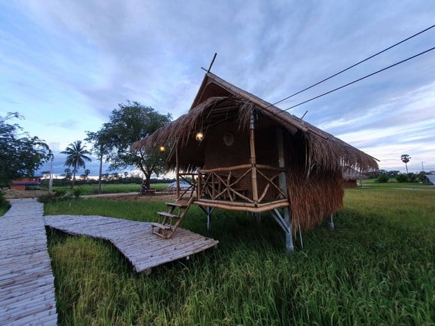 Tầm nhìn hướng ra cánh đồng lúa xanh mướt từ góc ban công homestay
