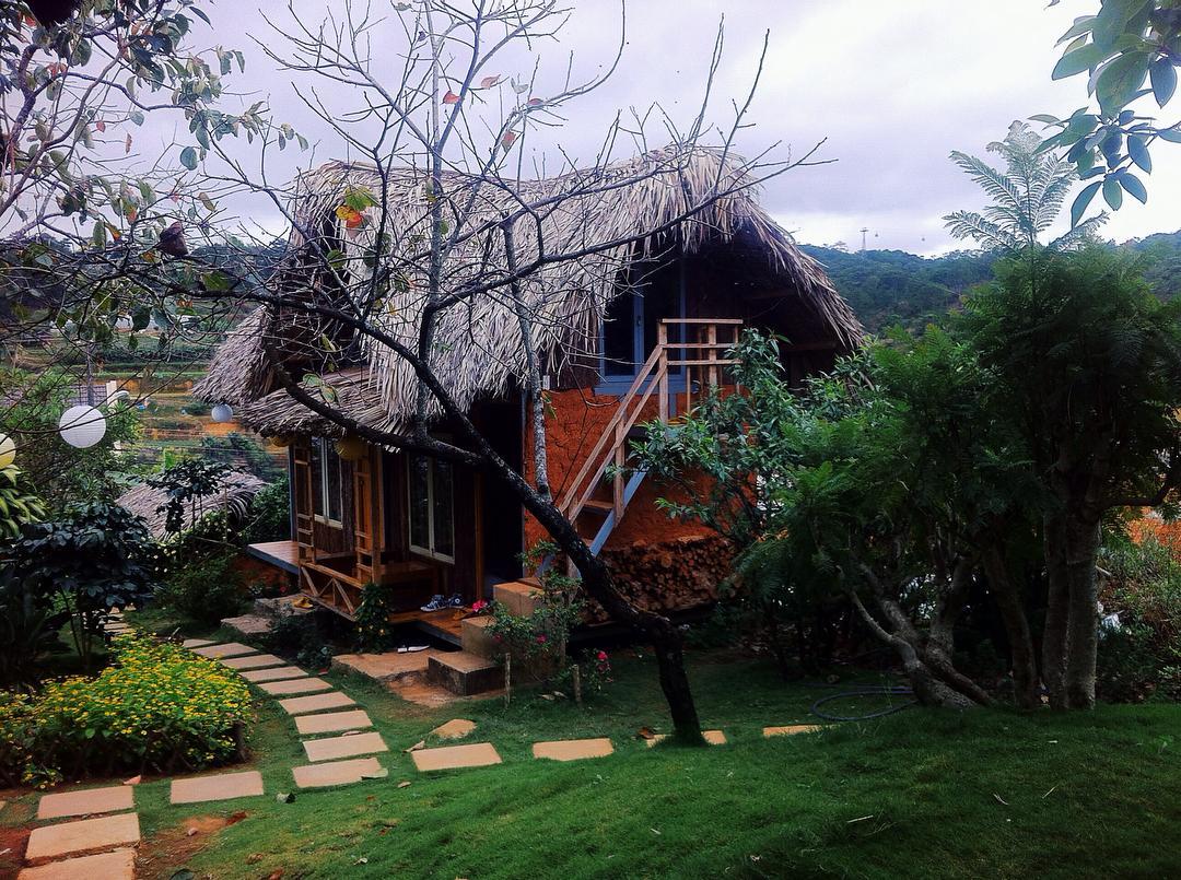 Khoảng sân rêu phong mang đậm chất retro tại Củi homestay Đà Lạt