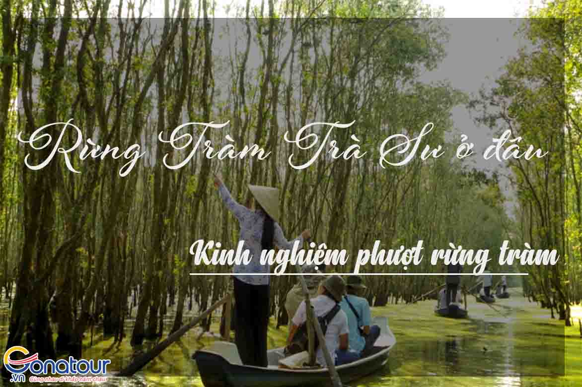 Rừng tràm Trà Sư xanh mát