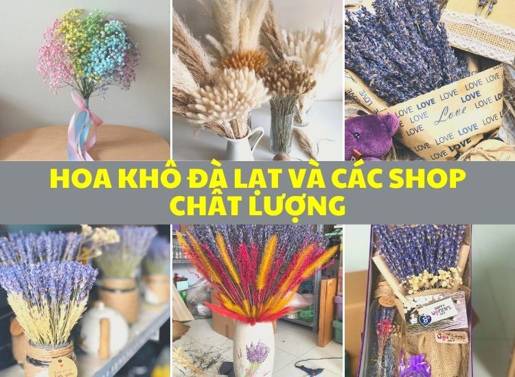 Mùa khô Đà Lạt