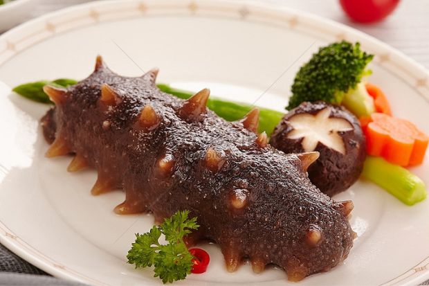 Hải sâm Phú Quý sản vật bổ dưỡng từ lòng đại dương
