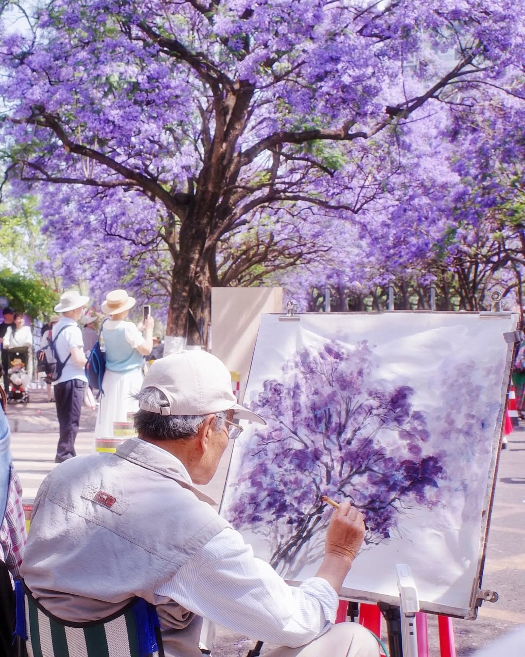 Con đường Jiaochang Middle đầy sắc tím hoa phượng - nguồn từ ivivu