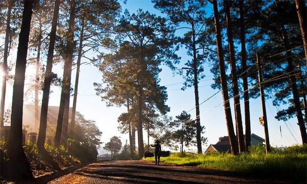 Đà Lạt trong tiết trời se lạnh buổi sáng