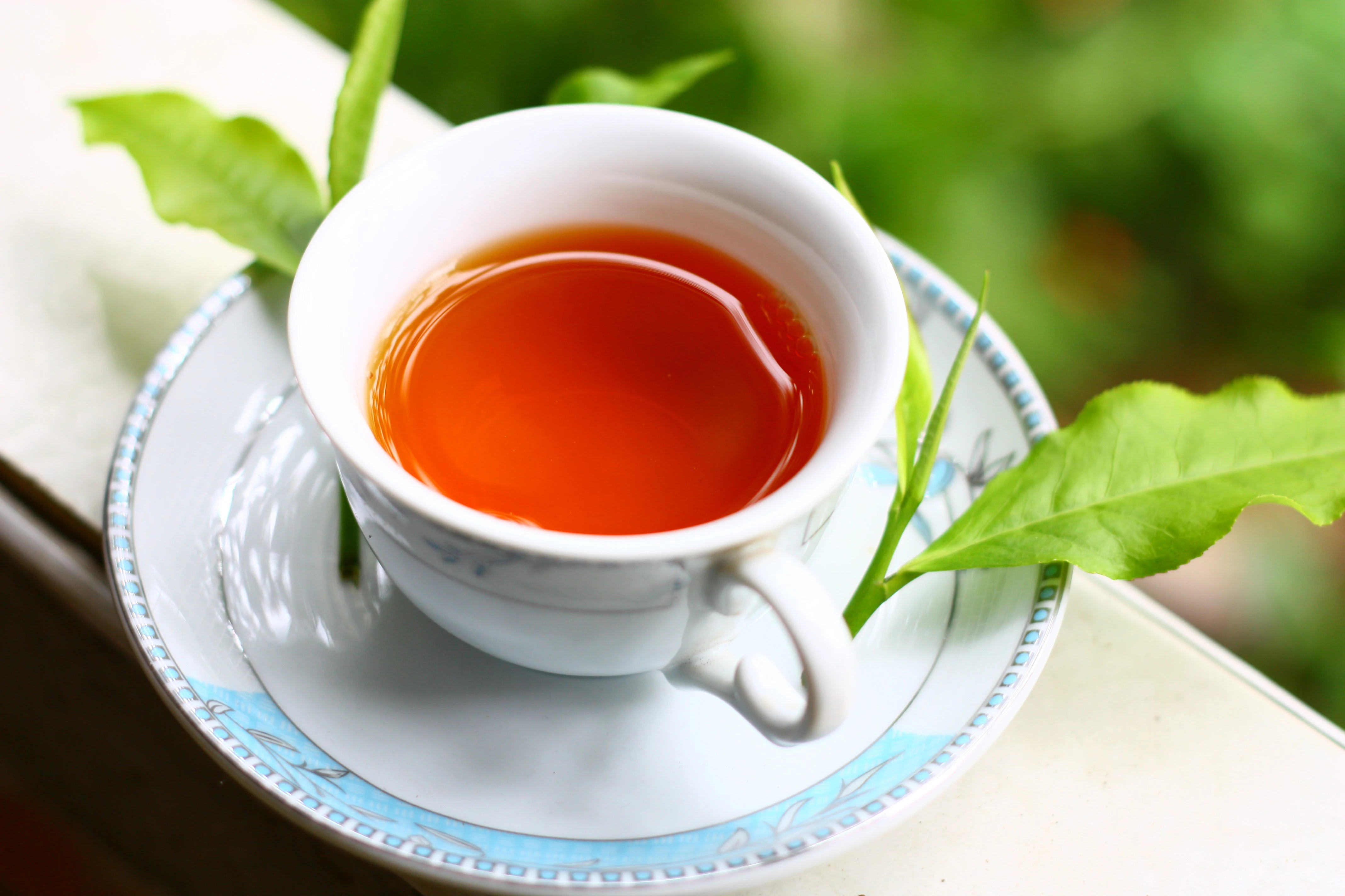 Trà Vinh xoài miền Tây