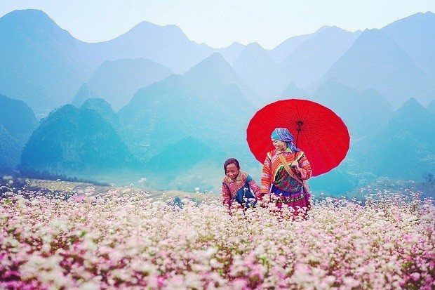 Cao nguyên đá Đồng Văn Hà Giang mùa xuân