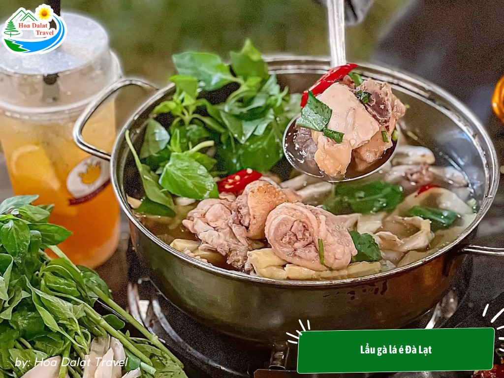 Nồi lẩu gà lá é với thịt gà rau và nấm sôi sùng sục