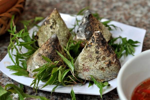 Ốc Vú Nàng - đặc sản nổi tiếng của Cù Lao Câu với vỏ hình chóp lệch