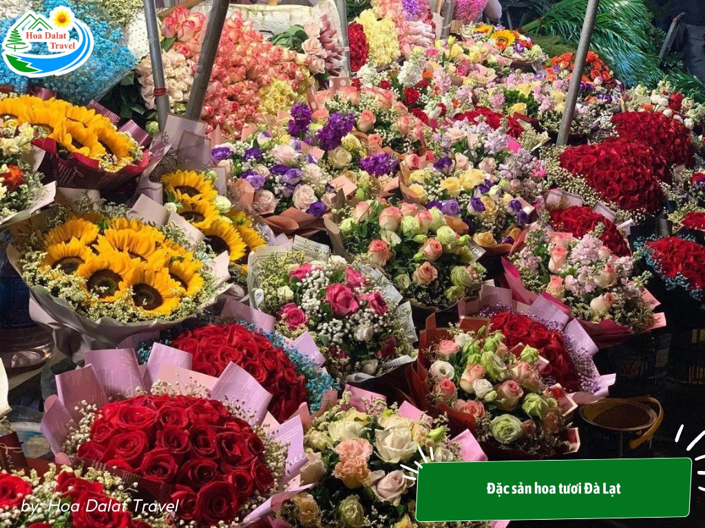 Hoa tươi Đà Lạt mua làm quà