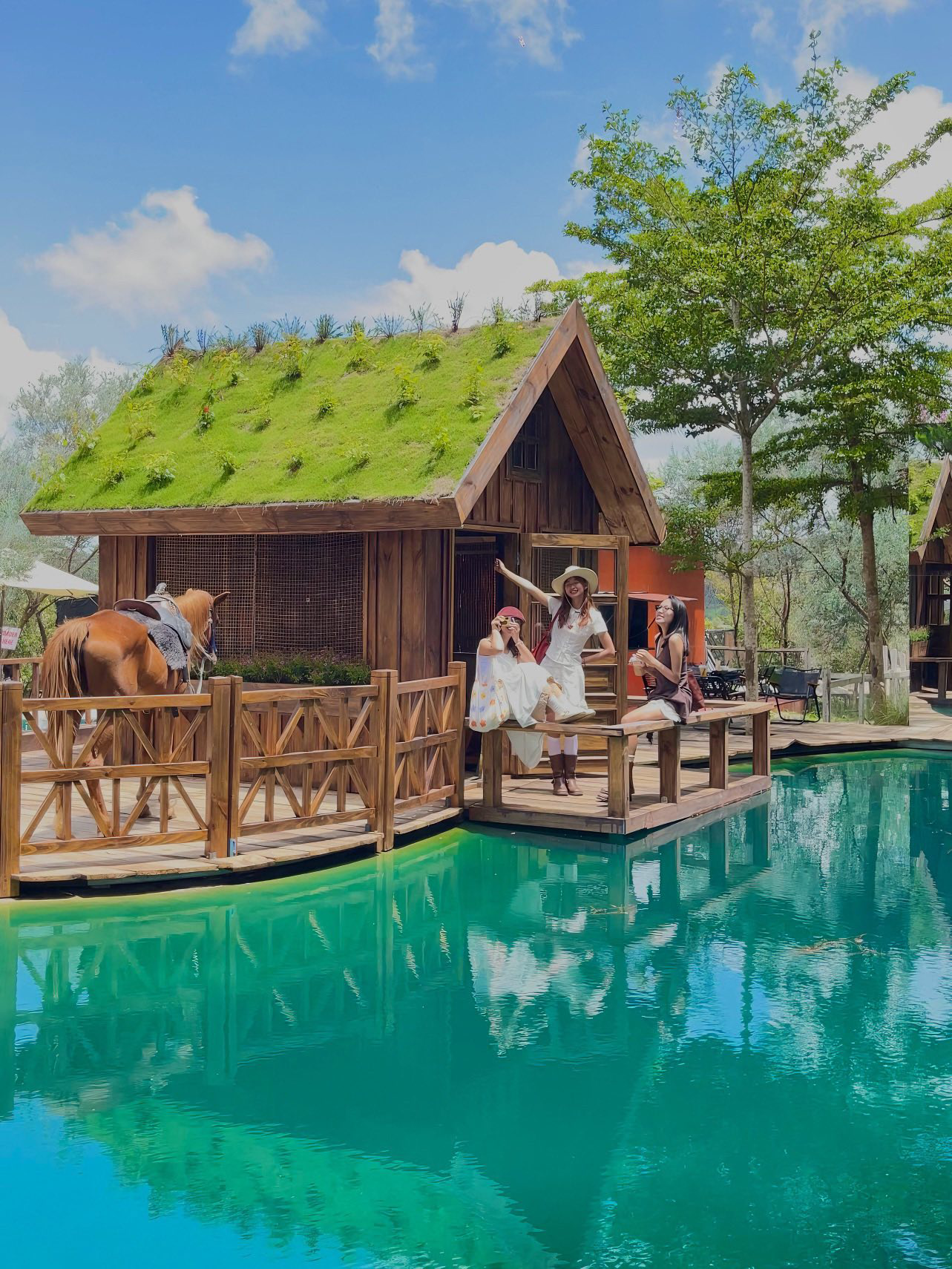 Khung cảnh homestay đồi thông