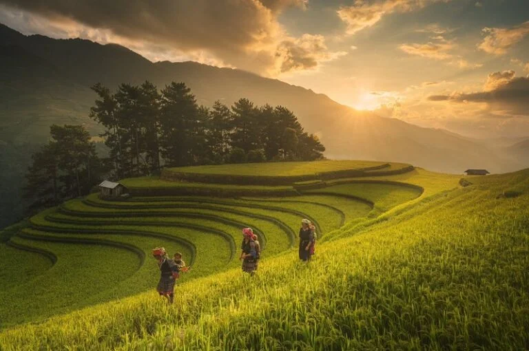 Ruộng bậc thang mùa lúa chín