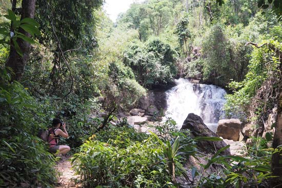 Rừng trekking ở Thái Lan