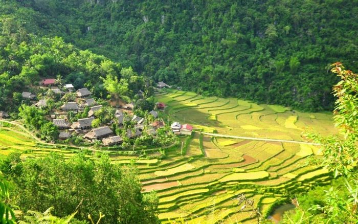 Pù Luông Thanh Hóa