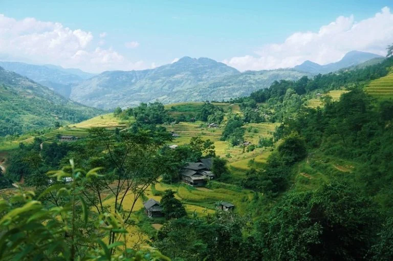 Ruộng bậc thang Hoàng Su Phì
