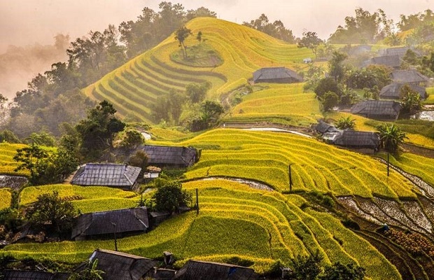Hoàng Su Phì